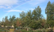El arco iris sobre los huertos de Alcobendas