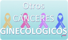 Blog-banner-OTROS-CANCERES-GINECOLOGICOS