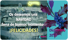 Navidad_Banner_blog_Feliz_Navidad_2013_-cancer_ovario_asaco
