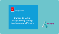 BLOG BANNER cáncer de vulva