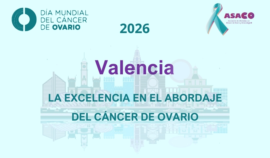 Blog banner DMCO 2026