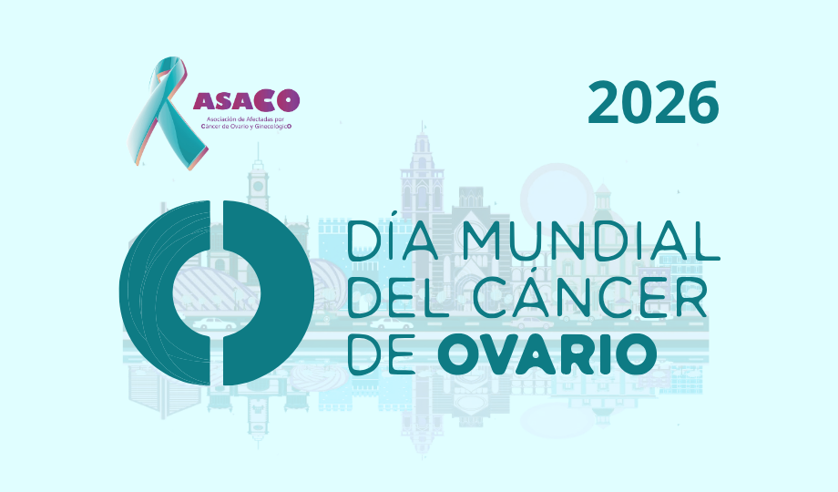 Blog banner DMCO 2026